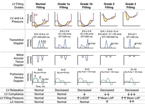 1016 lv huisnummer|Echocardiographic Markers of Early Left Ventricular Dysfunction .